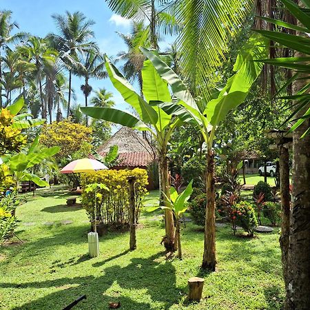 Rancho Burica Hotel Pavones  Bagian luar foto