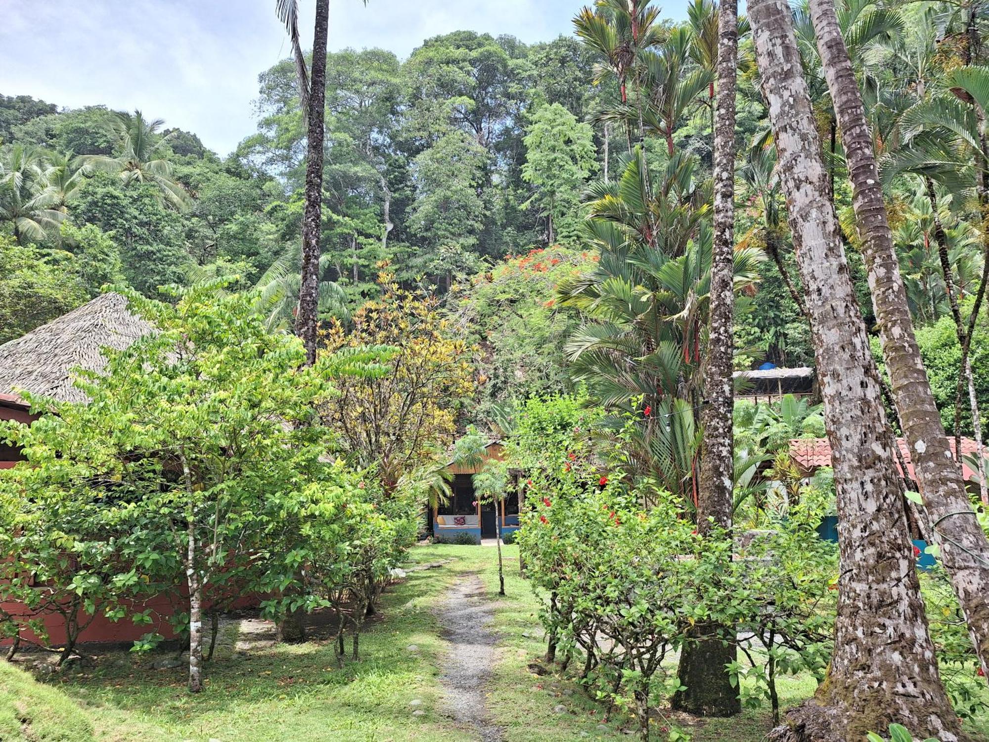 Rancho Burica Hotel Pavones  Bagian luar foto